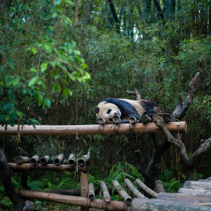 盘点全国儿童旅游景点排行榜，带娃出游好去处大揭秘！