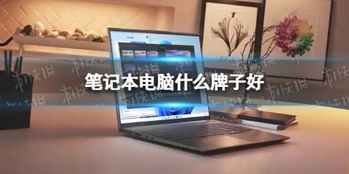 电脑品牌大比拼，如何在店里挑选最适合你的电脑