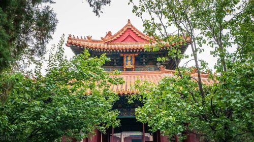 寿光周边游攻略，盘点那些不容错过的美丽景点