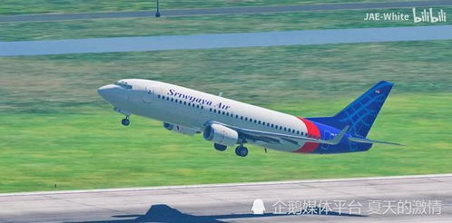揭秘允许上飞机的电脑品牌，哪些品牌更受航空公司青睐？