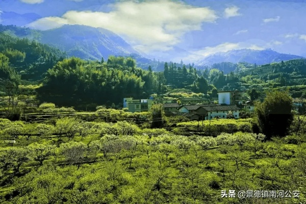 乡村美景如画，诗意生活在此绽放