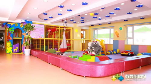 马店市音乐早教加盟店，开启宝贝的音乐旅程