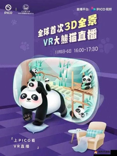 熊猫TV手机直播全攻略，轻松上手，成为直播达人！