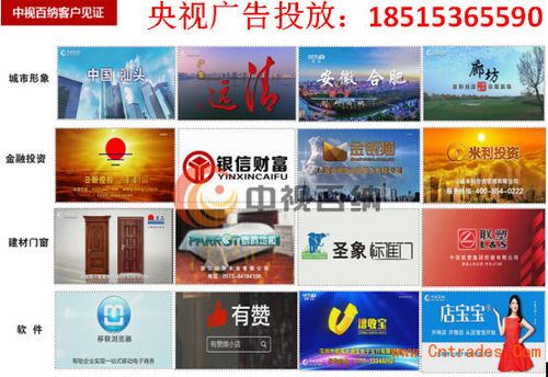打造高效网站广告方案，策略与案例解析