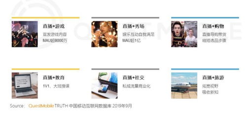 熊猫直播猫币换现金攻略，轻松变现，让你的直播收益变现无忧！