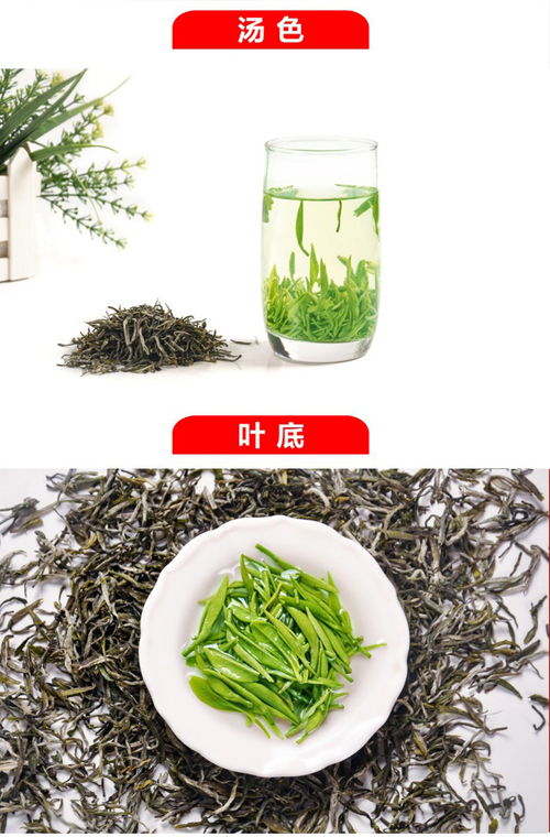 五峰茶叶品牌大比拼，揭秘哪个品牌最值得信赖！