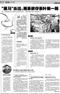 揭秘茶叶加盟界的黑马，最猛的品牌盘点及案例分析