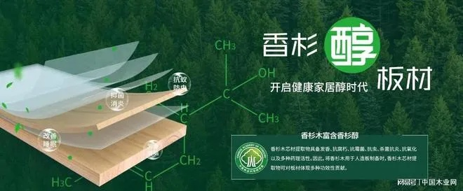 板材选购指南，揭秘哪个品牌更值得信赖
