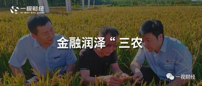 银行助力乡村振兴，金融活水润泽大地