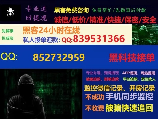 揭秘24小时黑客在线QQ接单，风险与挑战并存