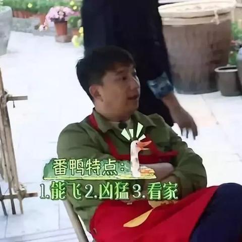 鸭 母婴品牌—为宝贝的健康成长保驾护航
