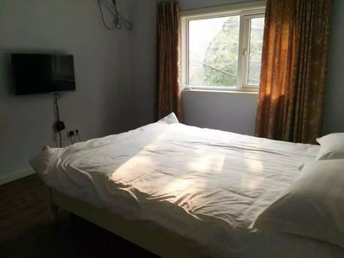 查开房间网站 查开房间网站，探索安全与便捷的在线住宿体验