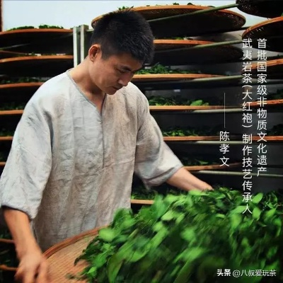 草木繁，探寻茶叶名与品牌的奥秘
