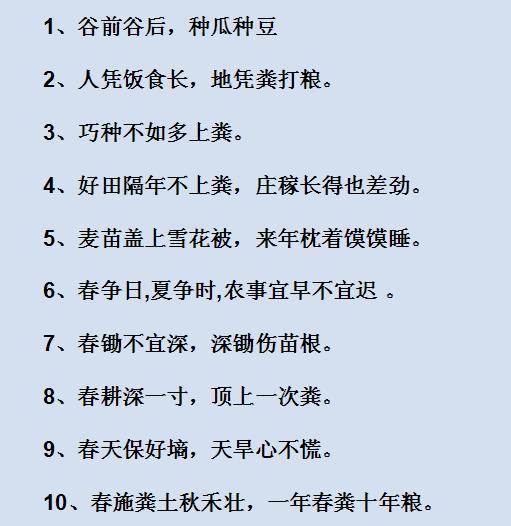 一句话诠释乡村振兴，多维度案例解析