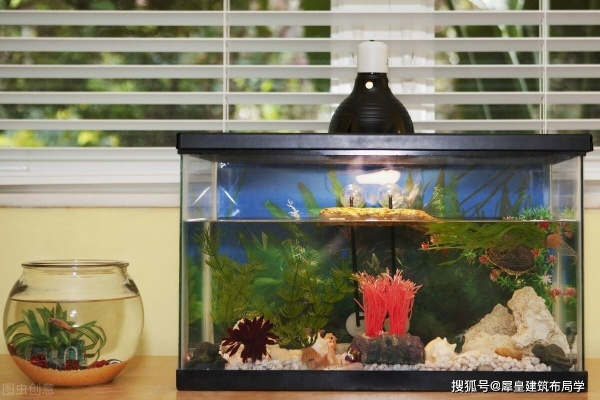 沙发鱼缸品牌大盘点，养鱼新时尚，这些品牌值得你关注！