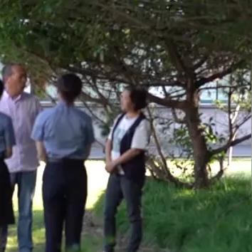 网络黑客能否助你追回被骗的钱？揭秘追赃真相