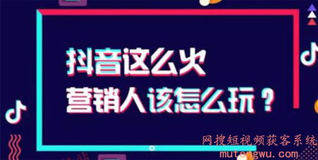 揭秘抖音月付如何轻松借钱套现