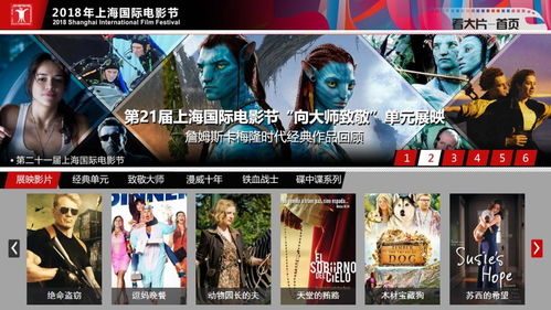 电视猫直播回看攻略，不错过精彩瞬间，轻松回顾！