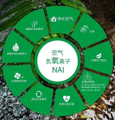 泰安无甲醛家居品牌，健康生活的新选择