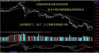 乡村旅游股票行情走势分析，涨跌之间，机遇与挑战并存