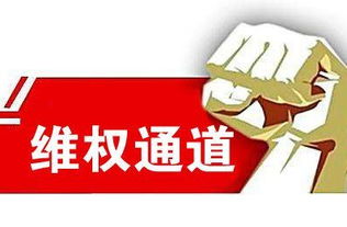 如何追回软件被骗的钱，实用指南与案例分析