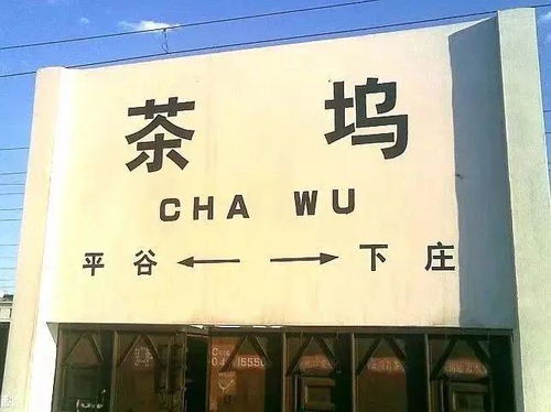 大秦道茶叶品牌专营店—品味历史，尽享茶香