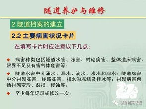 鸭绒被的黄金岁月，揭秘其使用寿命与保养之道