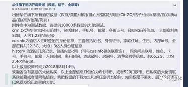 查开房记录询 揭秘隐私保护，查开房记录的真相与风险