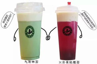 品牌茶中的性价比之王，你的茶饮新选择！