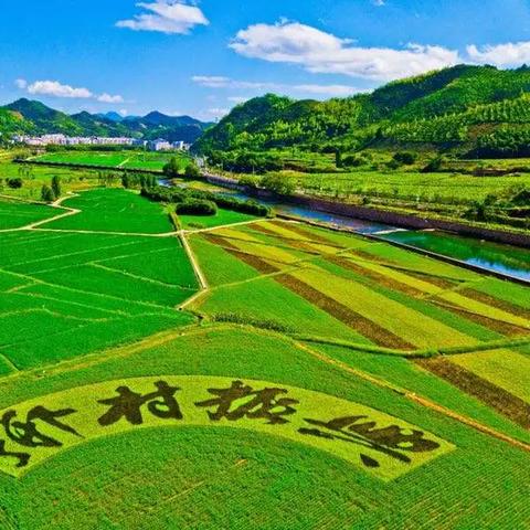 如何让优秀人才涌向乡村振兴一线—策略与实践分享