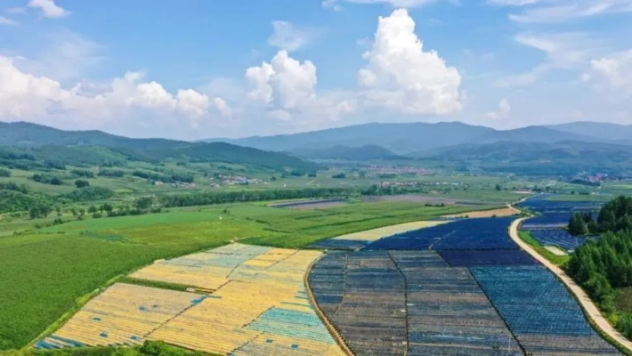 企业如何借力乡村振兴，打造发展新引擎