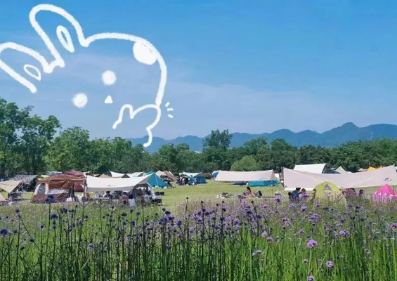2023全国野餐胜地大盘点，这些地方让你尽享春日美好时光！
