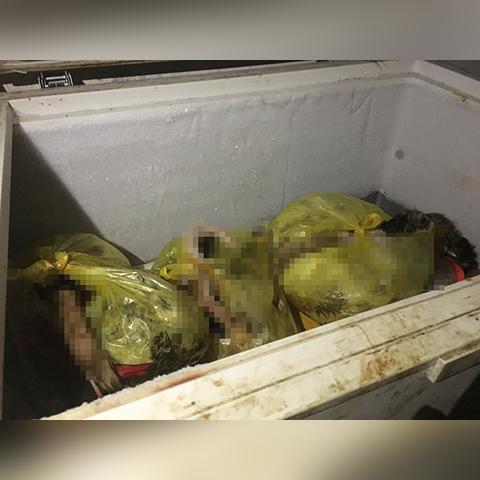 揭秘全球冰箱品牌排行榜，谁是真正的冷柜之王？