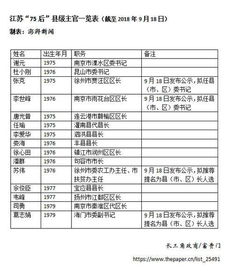 书记带队查酒店记录表 书记带队查酒店记录表，实地走访与深度分析