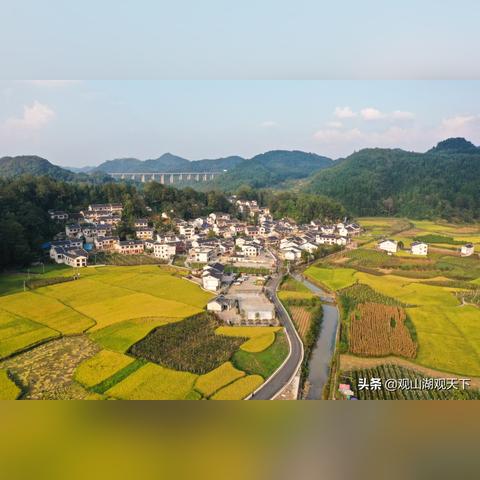 统一战线力量助推乡村振兴，共绘美丽乡村新画卷