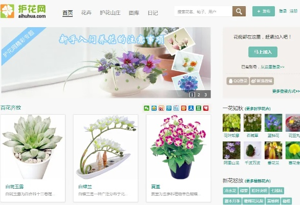 正规花卉网店加盟品牌推荐