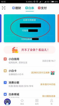 京东白条提现分吗 京东白条提现，分分钟到账，手续费明细大揭秘！