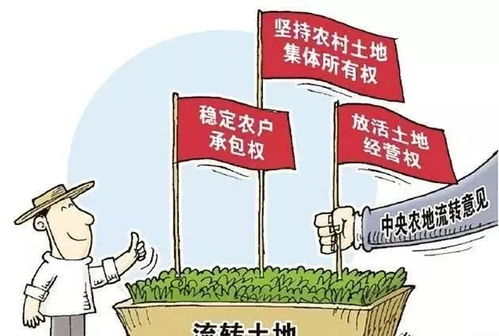 乡村旅游股份成本分配攻略，如何公平合理地分蛋糕？