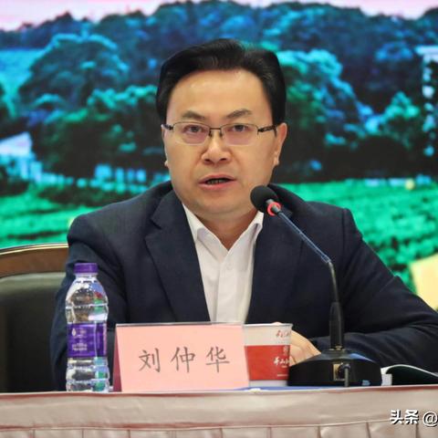 2023年最新品牌茶叶连锁排名榜揭晓，哪些品牌脱颖而出？
