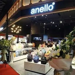 成都有众多知名品牌的加盟店
