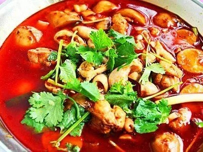 常德肥肠鸡火锅加盟品牌大全