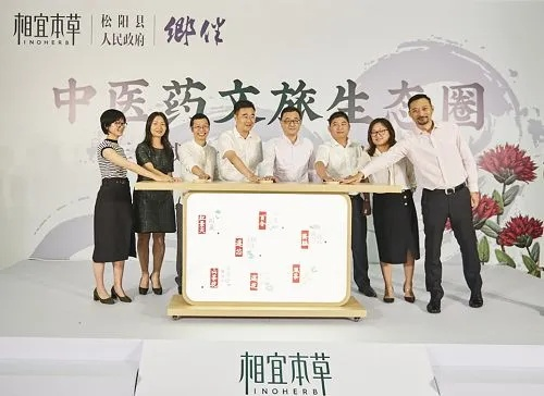兰茂中医药品牌，传承与创新的交响曲