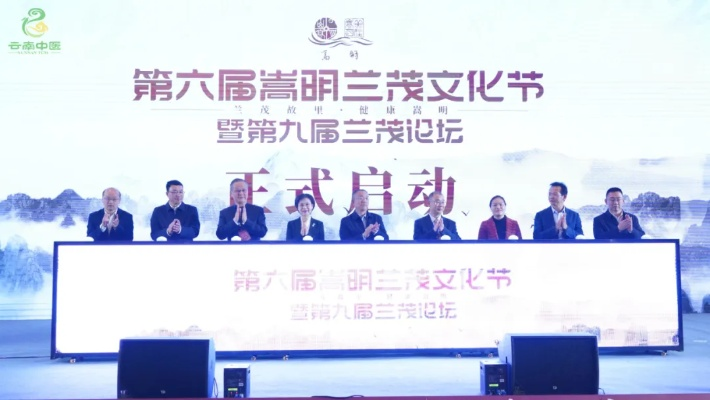 兰茂中医药品牌，传承与创新的交响曲