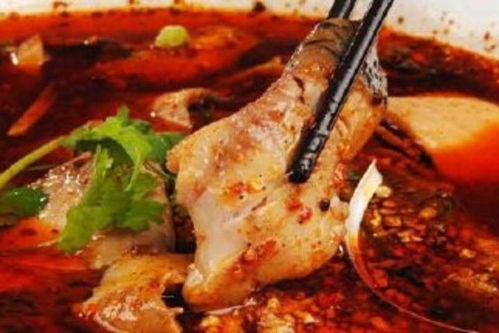 平武火锅鱼加盟品牌大全