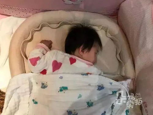 揭秘睡眠助手玩具，这些品牌让你宝宝睡得更香