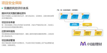 最新风控羊小咩便荔卡提现攻略，轻松应对金融风险