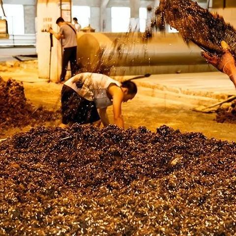 邯郸地区热销白酒品牌大盘点，品味家乡的醇香记忆