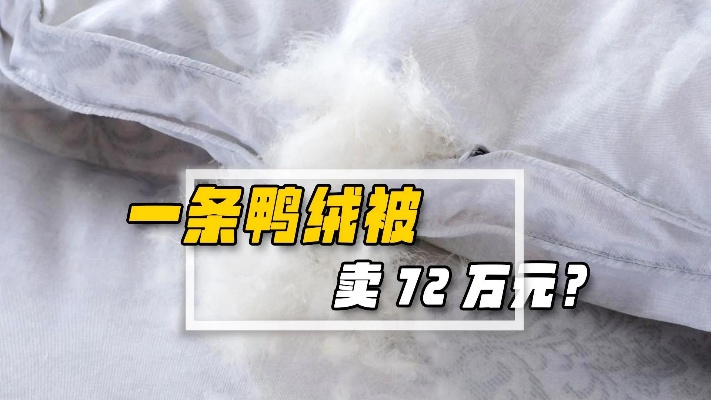 揭秘两米鸭绒被加厚价格之谜，一斤多少钱？