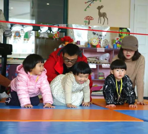 六安早教英语加盟机构—开启孩子英语学习新旅程