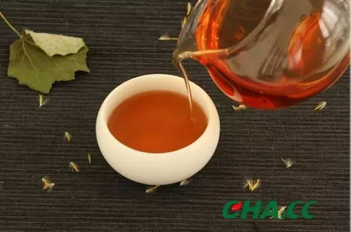 凤冈茶叶中的性价比之王，好喝不贵，这些品牌你绝对不能错过！